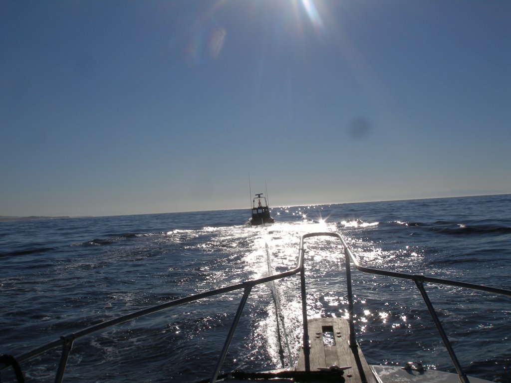photo9.jpg