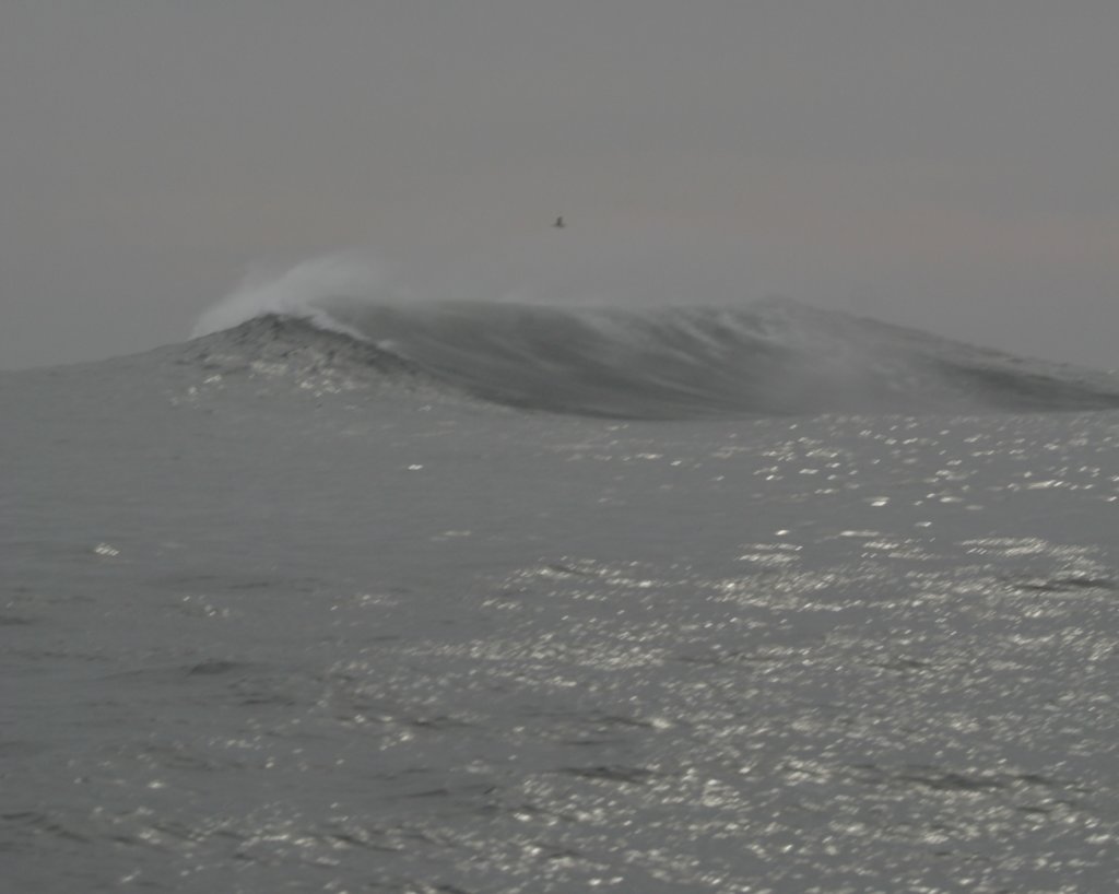 photo37.jpg