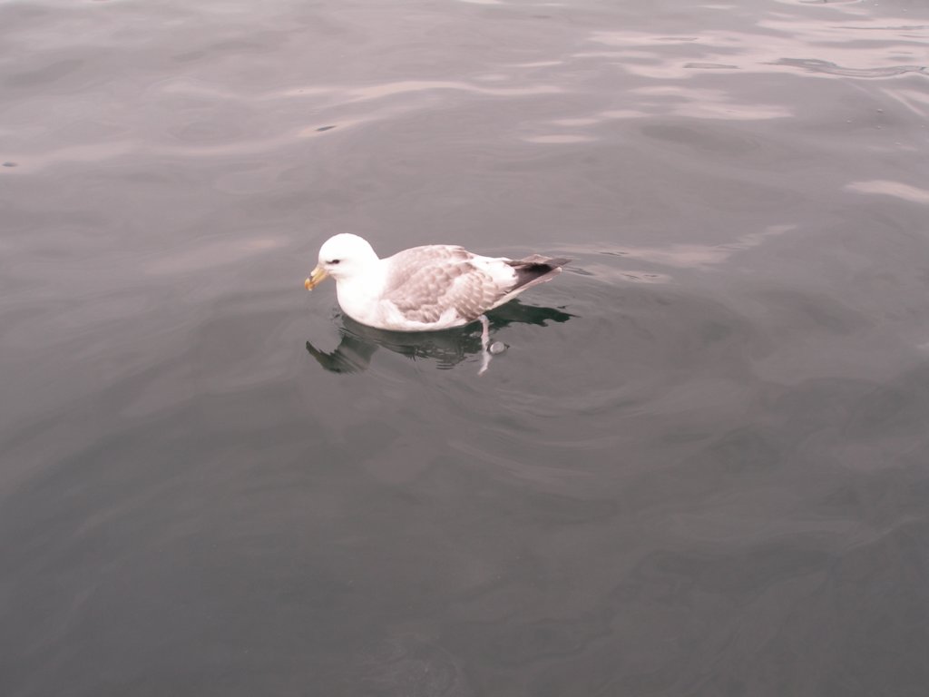 photo18.jpg