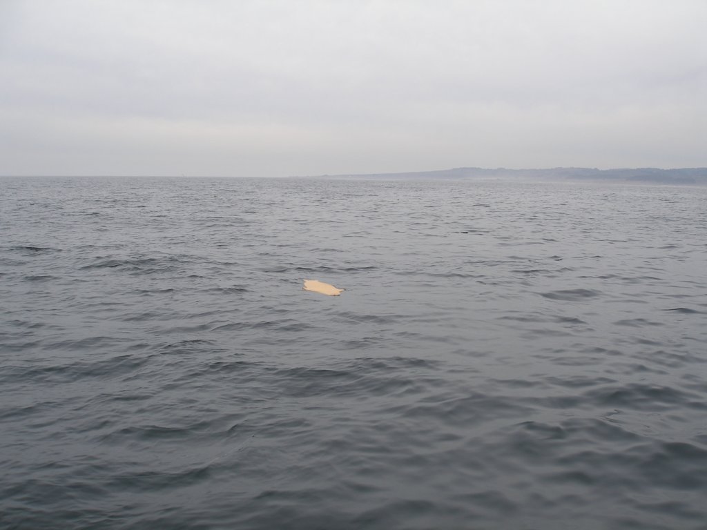 photo21.jpg