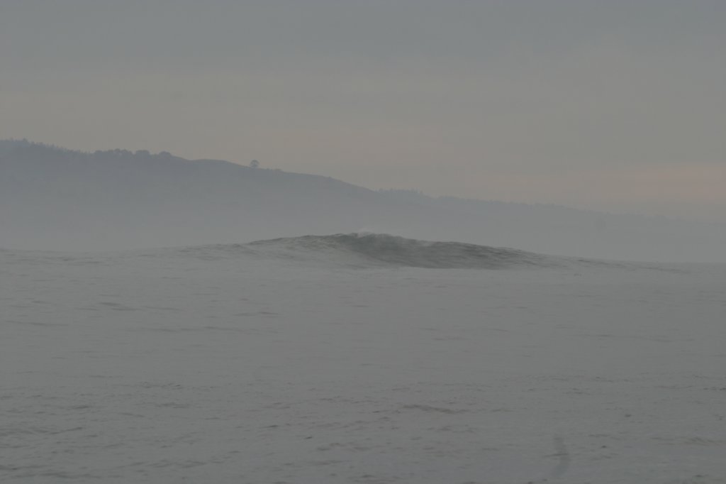 photo24.jpg