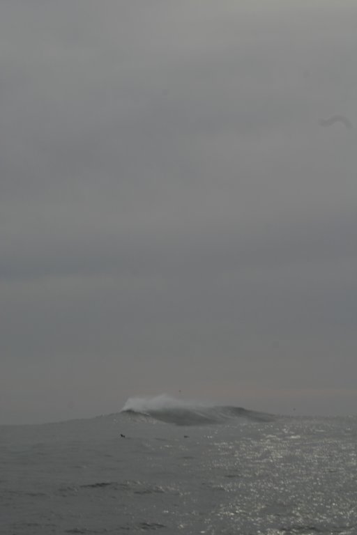 photo34.jpg
