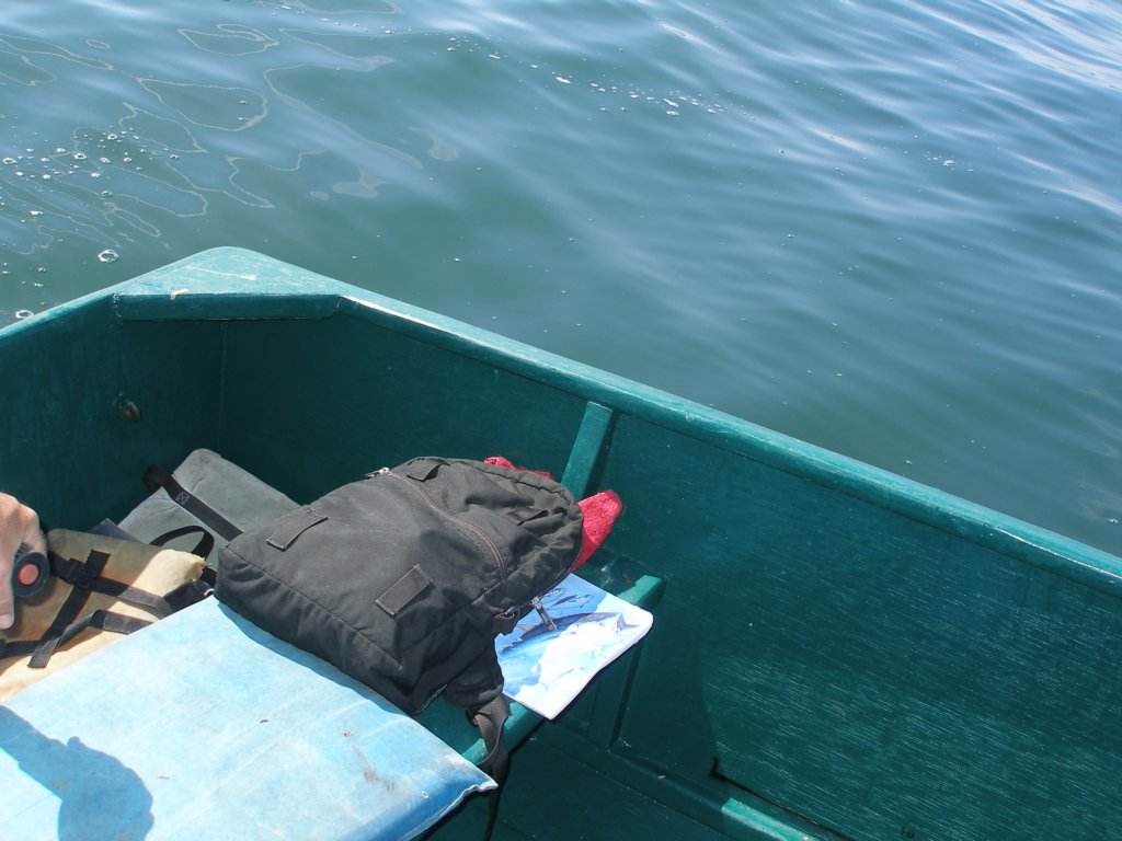 april200718.jpg