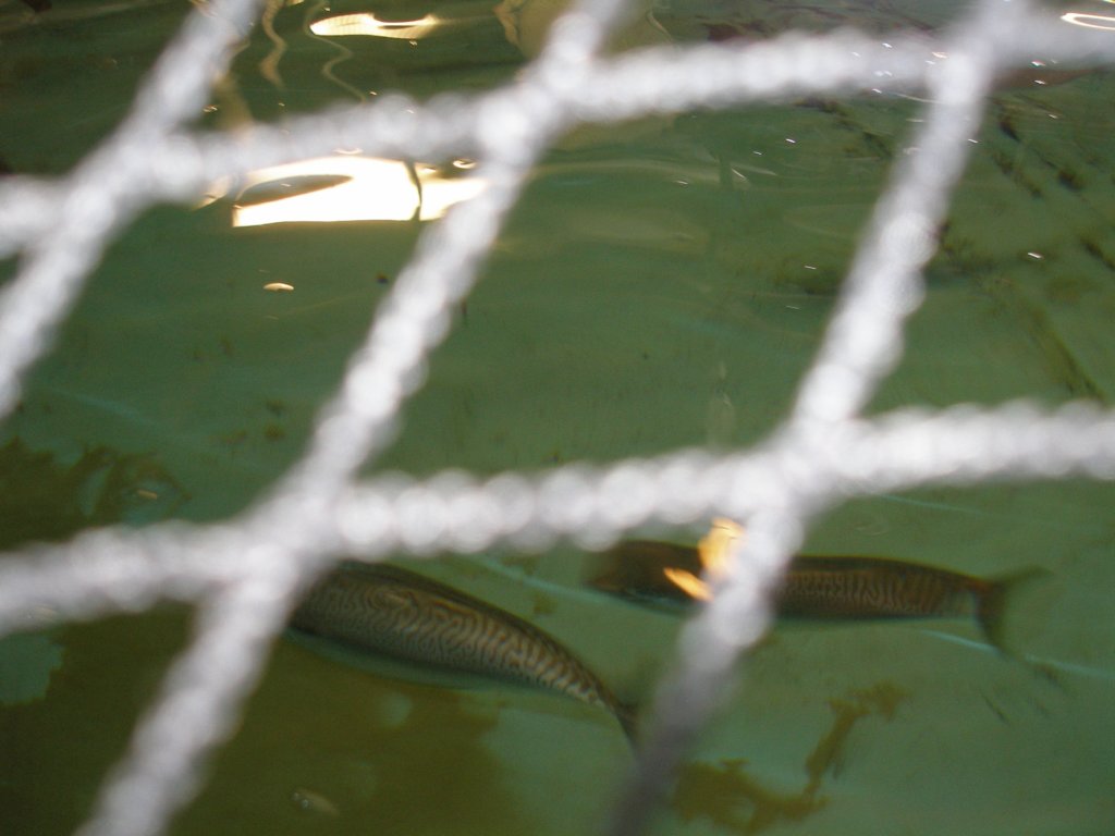 photo21.jpg