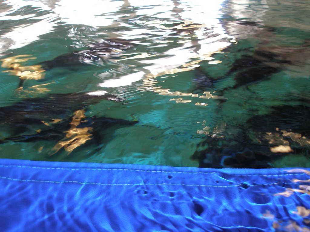 photo23.jpg