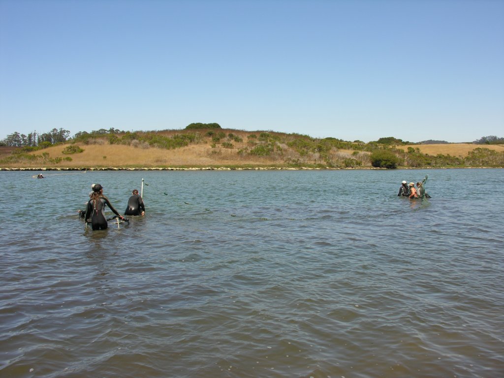 photo15.jpg