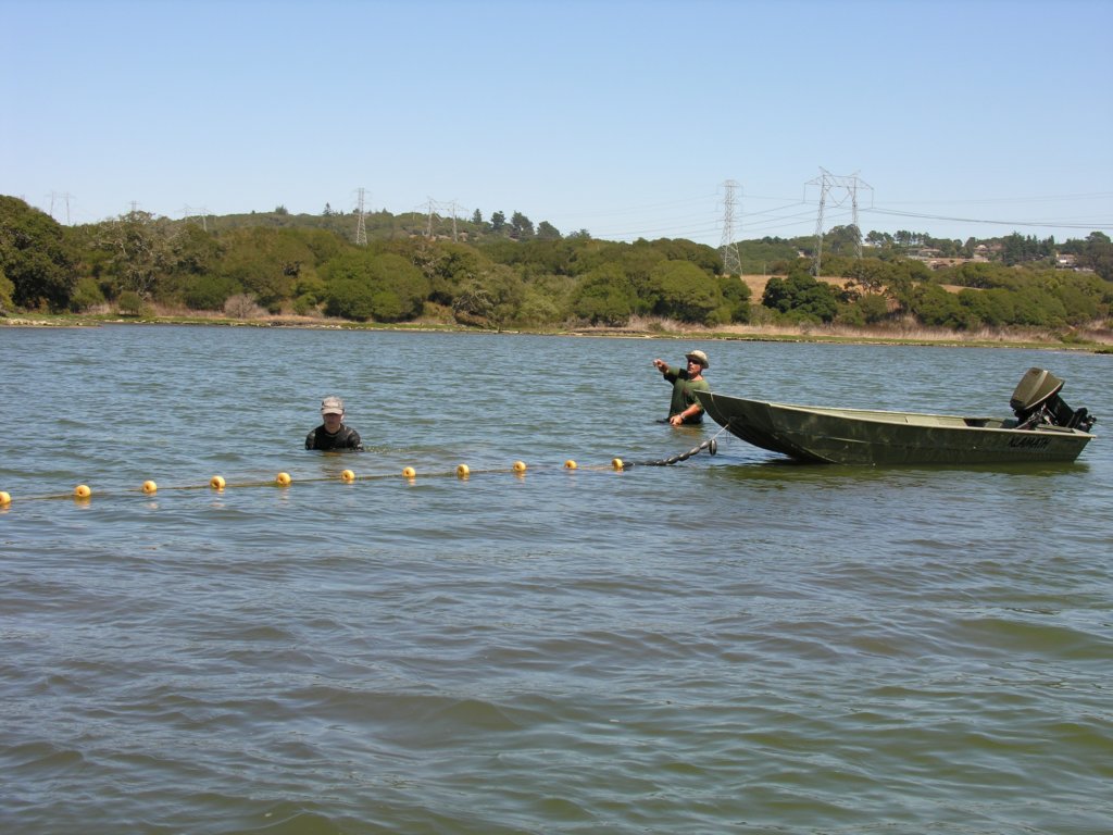 photo20.jpg