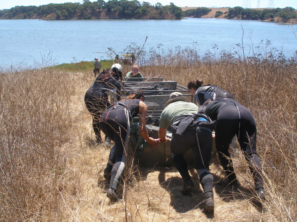 photo9.jpg