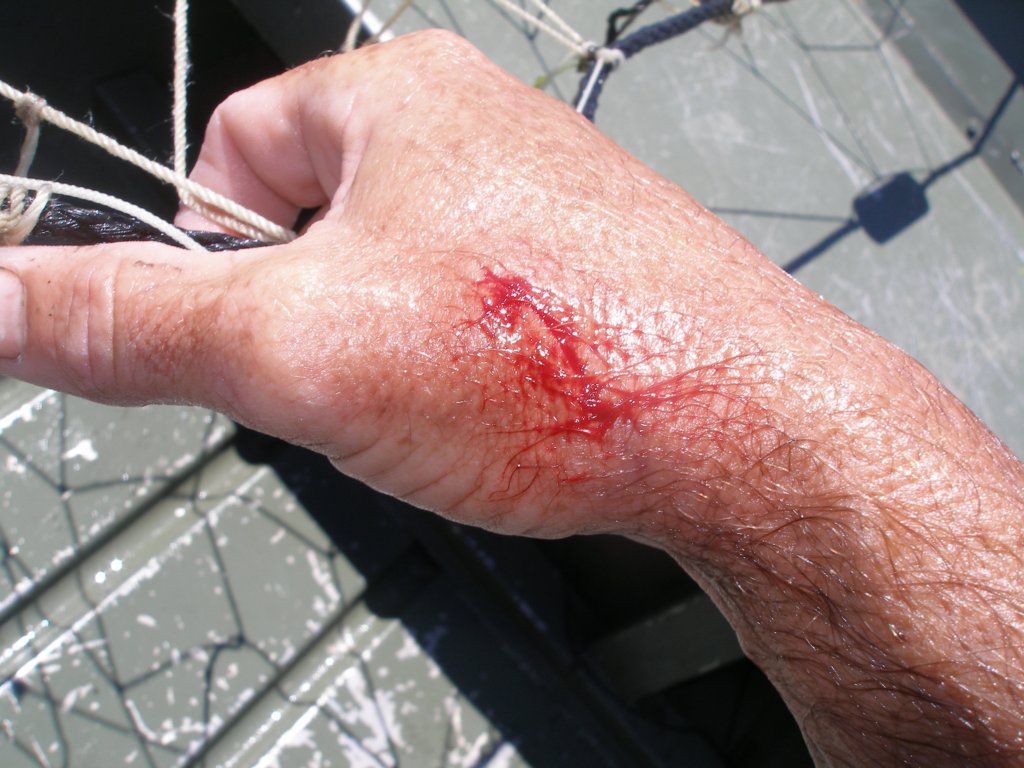 photo5.jpg