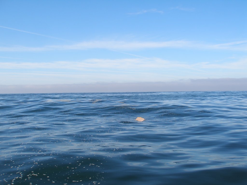 photo55.jpg