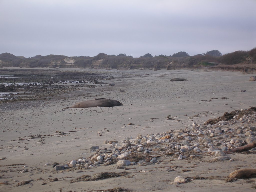 photo11.jpg