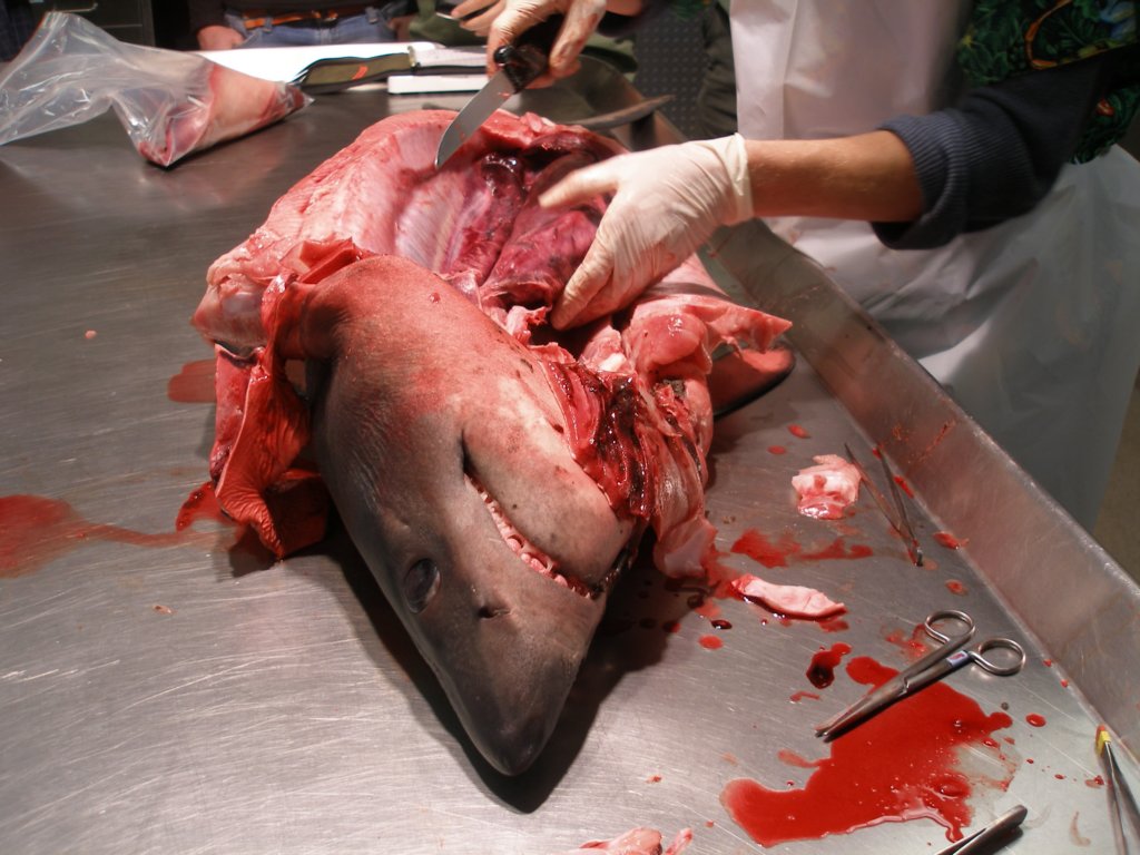 photo10.jpg