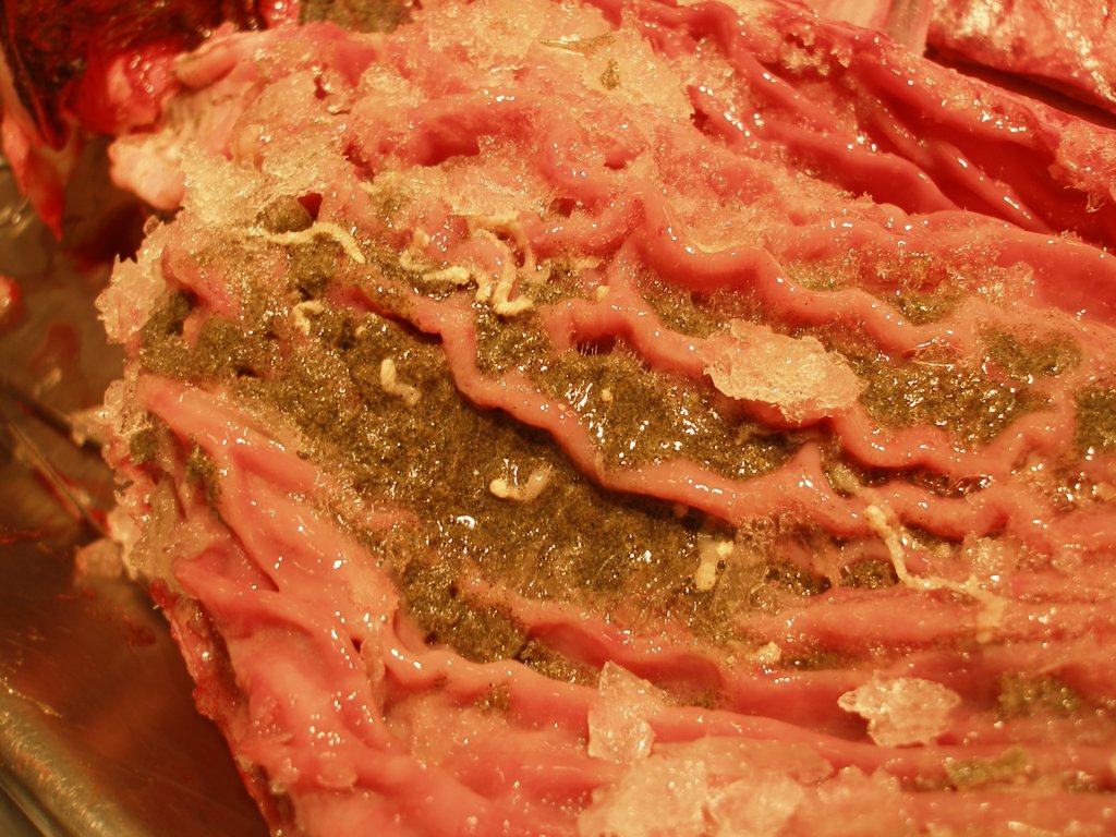 photo13.jpg