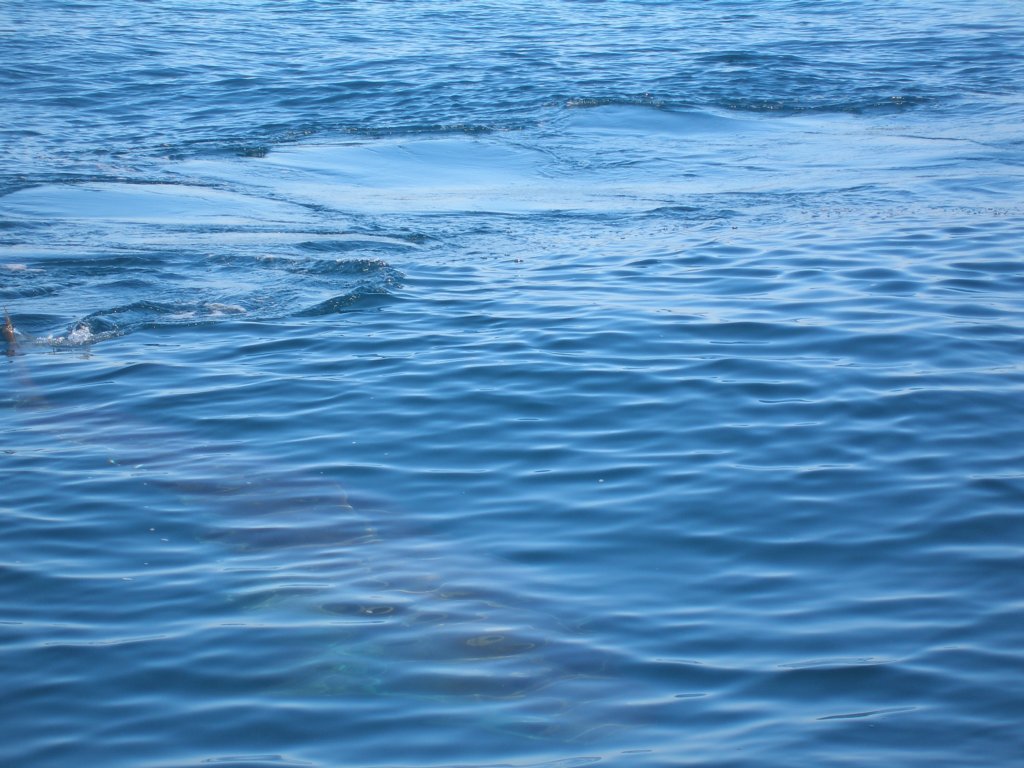 photo27.jpg