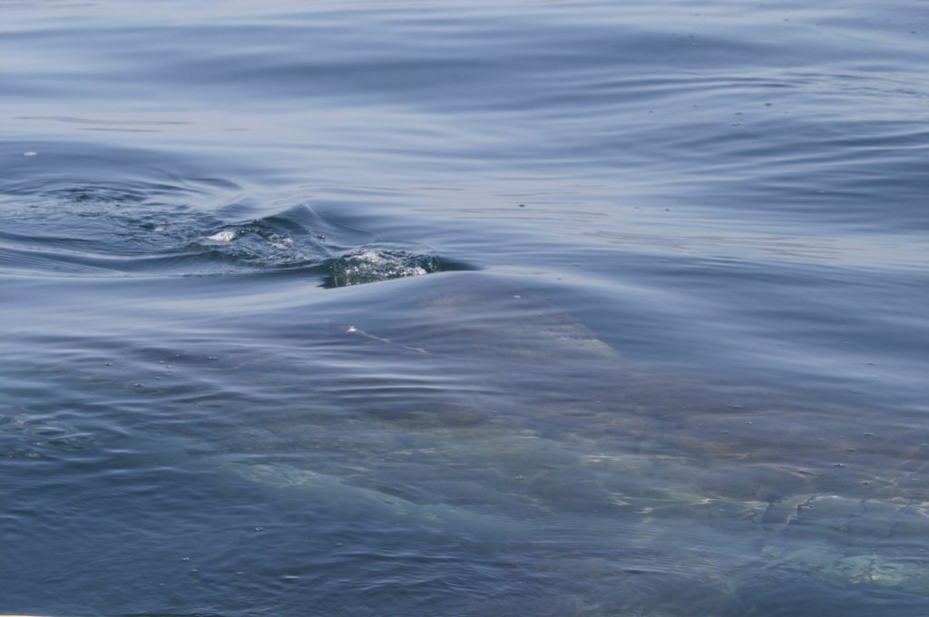 photo9.jpg