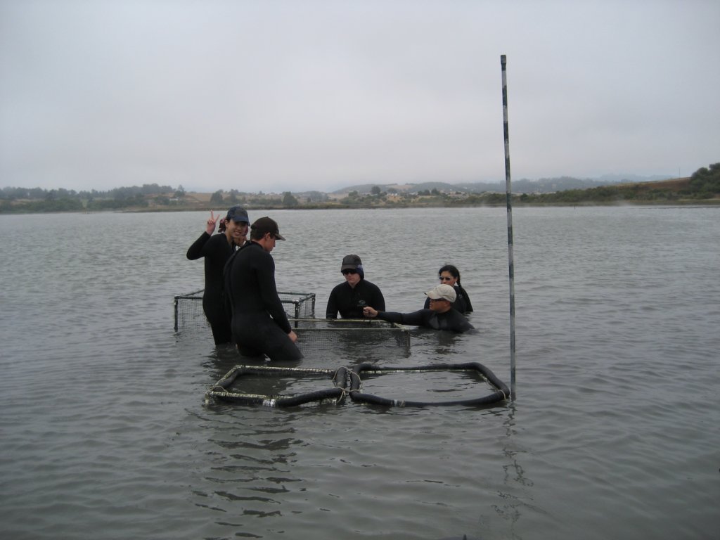 photo35.jpg