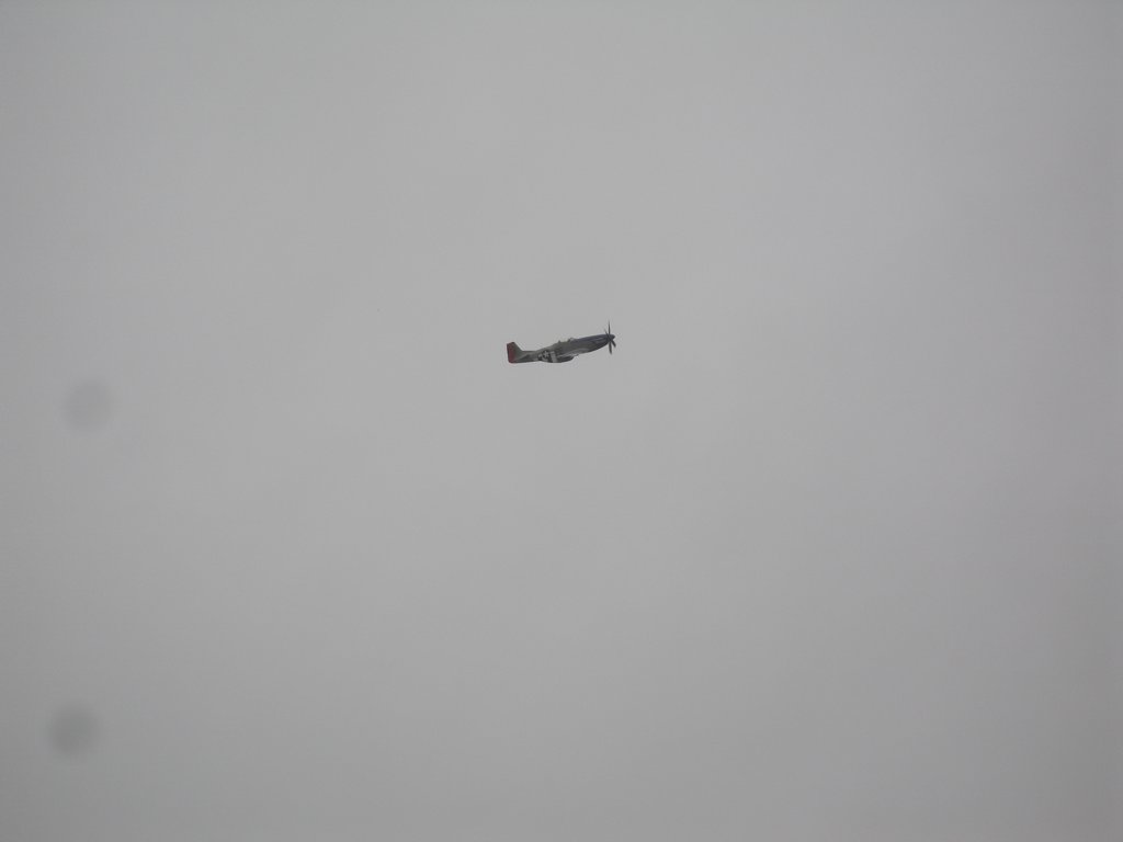 photo43.jpg