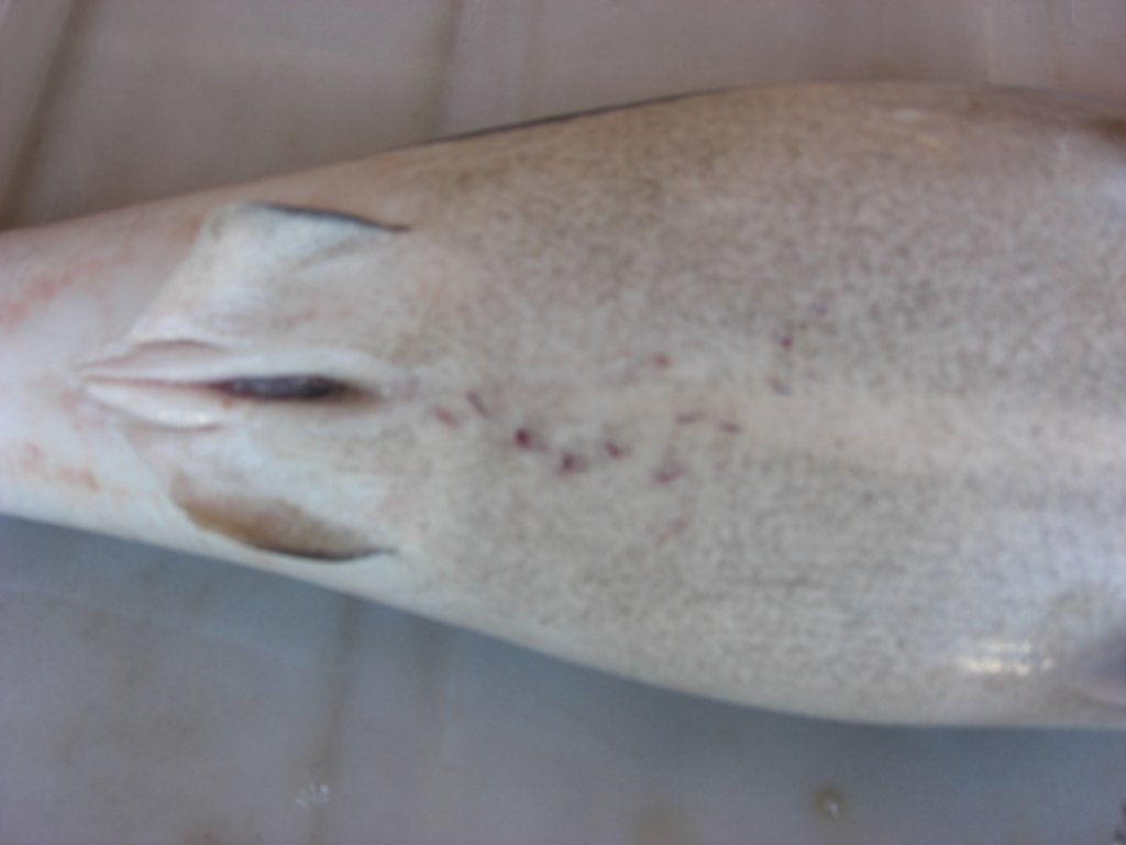 photo11.jpg