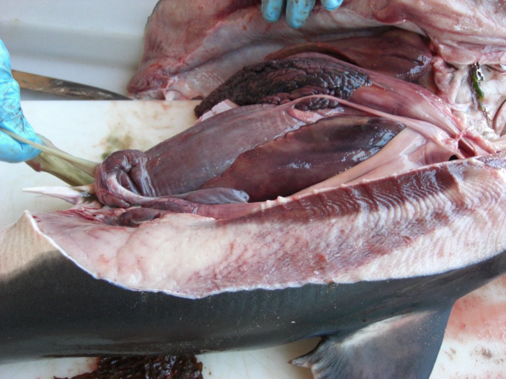 photo21.jpg