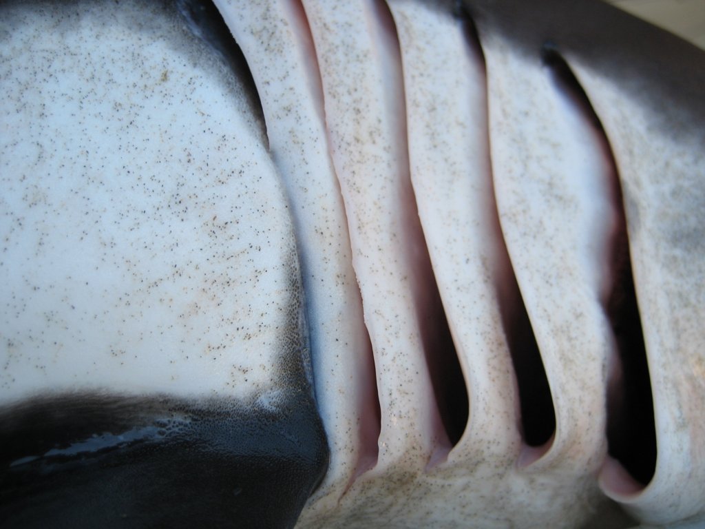 photo8.jpg