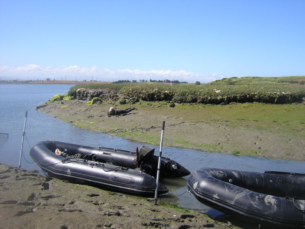 photo11.jpg