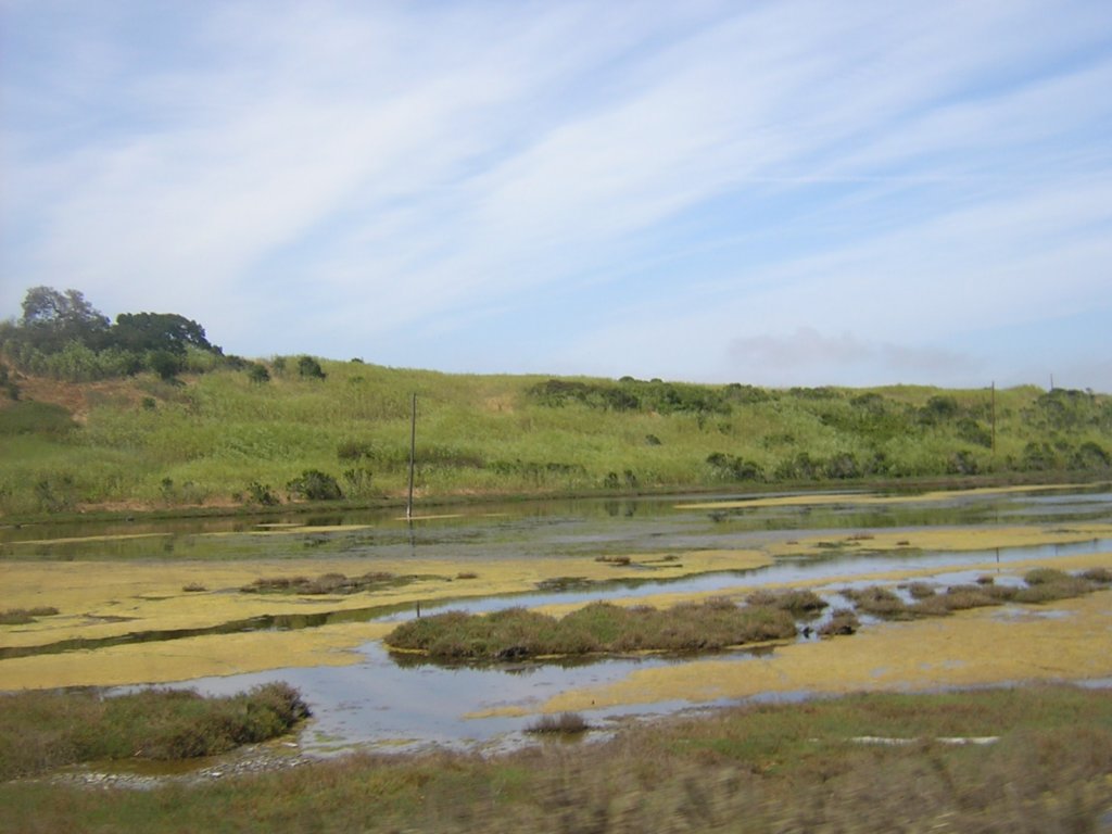 photo21.jpg