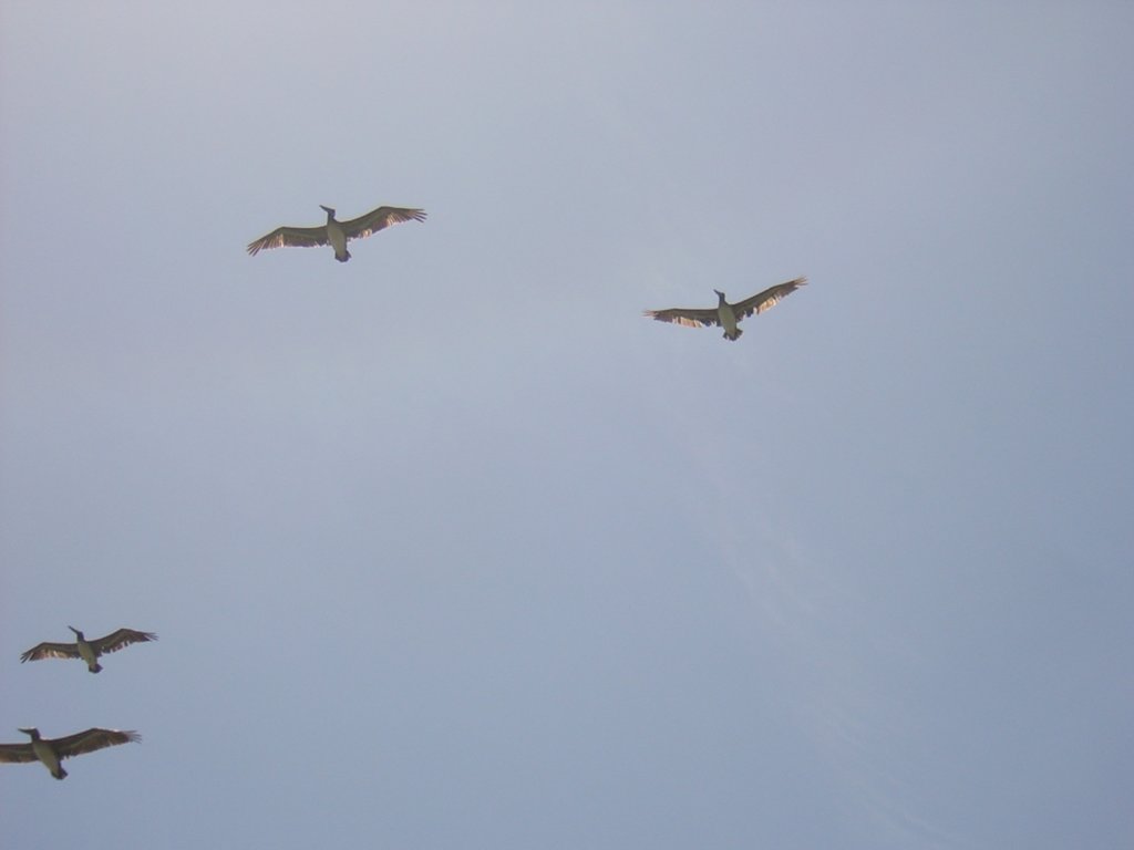 photo23.jpg