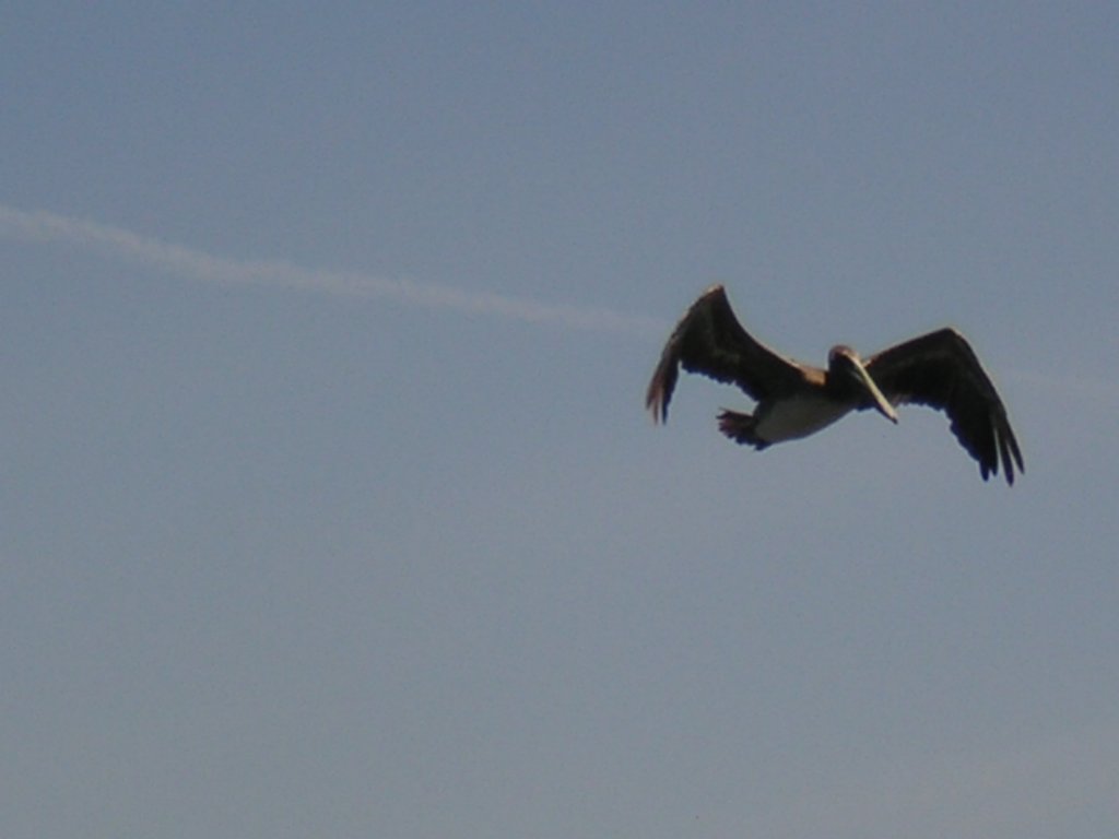 photo29.jpg