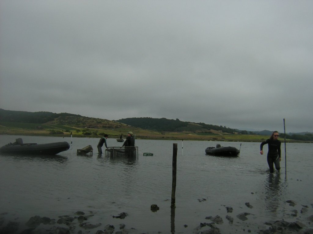 photo3.jpg