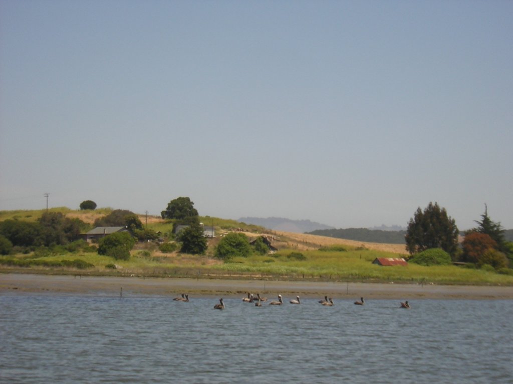 photo33.jpg
