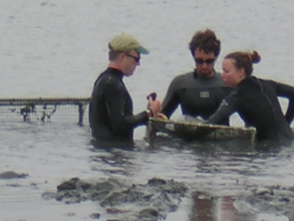 photo6.jpg