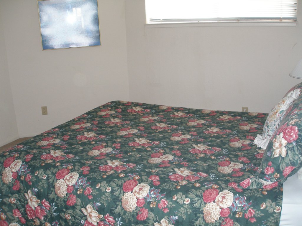 photo13.jpg
