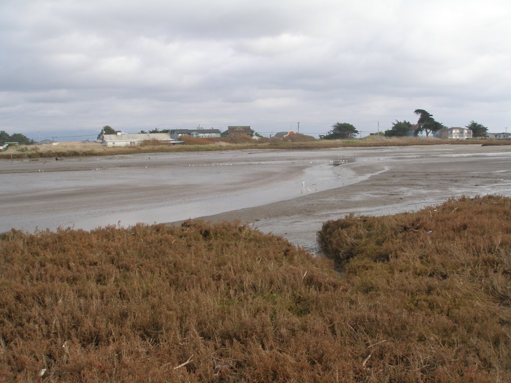 photo24.jpg