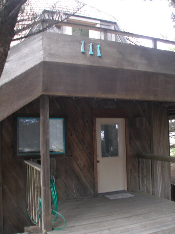 photo3.jpg