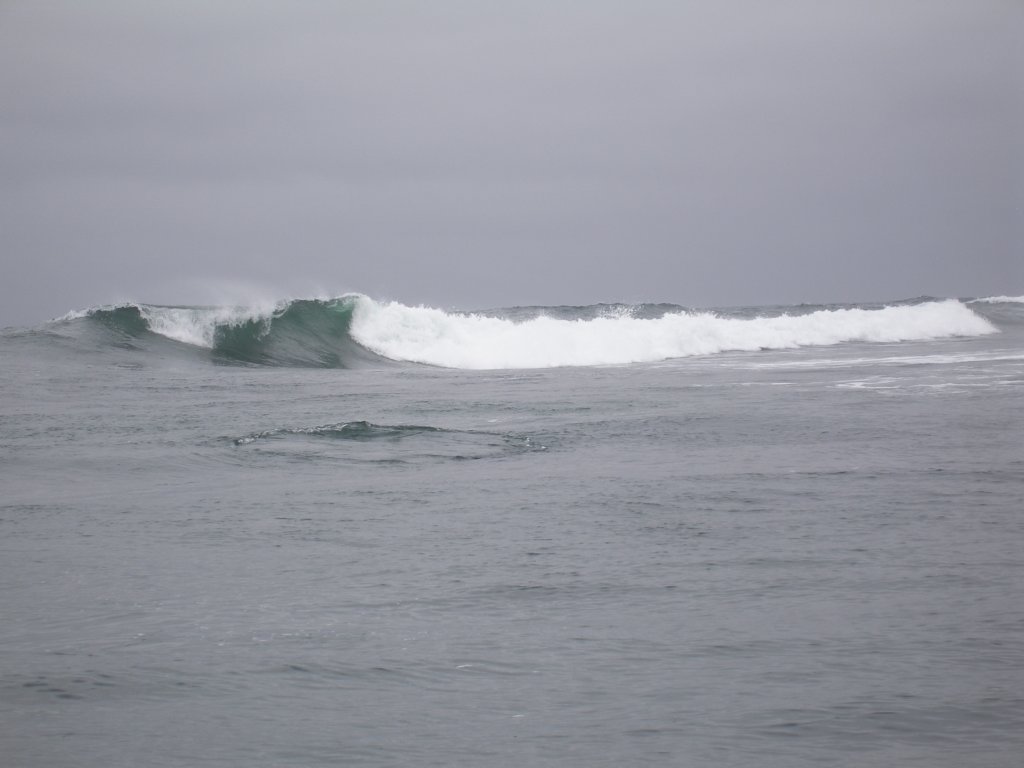 photo8.jpg