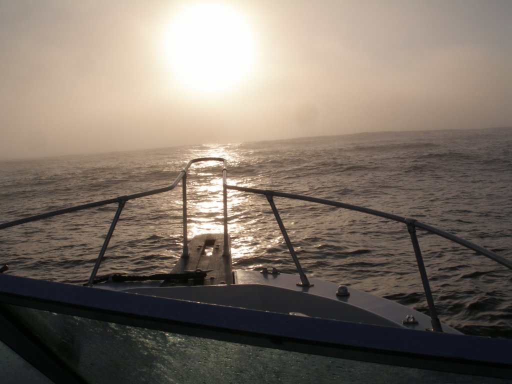 photo6.jpg