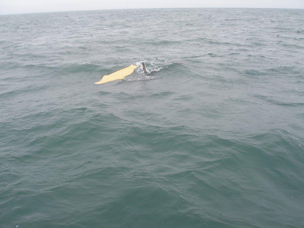 photo14.jpg