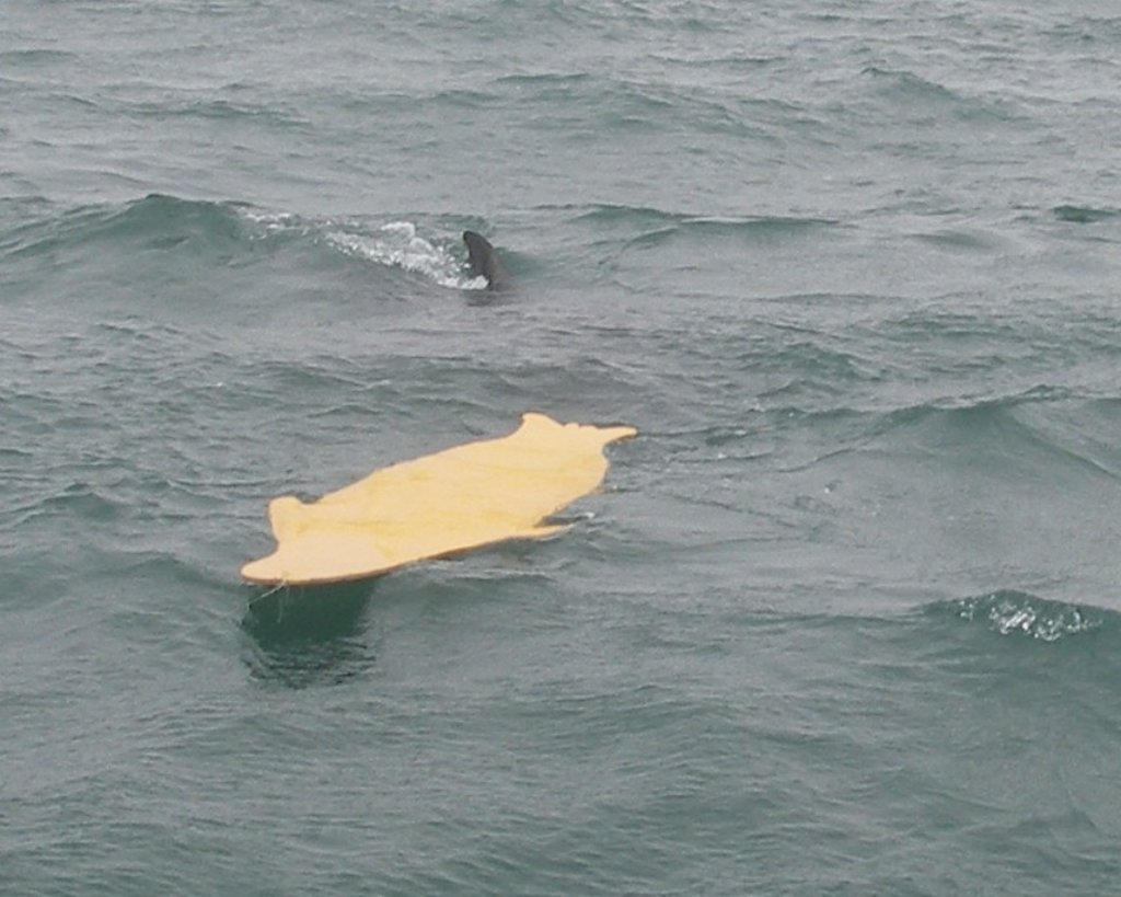 photo19.jpg