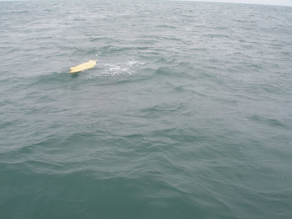 photo21.jpg