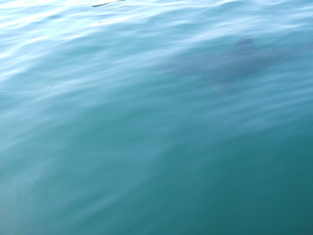 photo10.jpg
