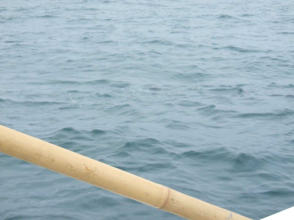 photo17.jpg
