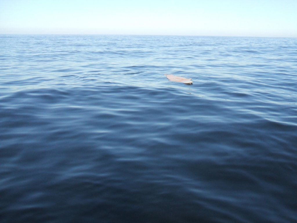 photo8.jpg
