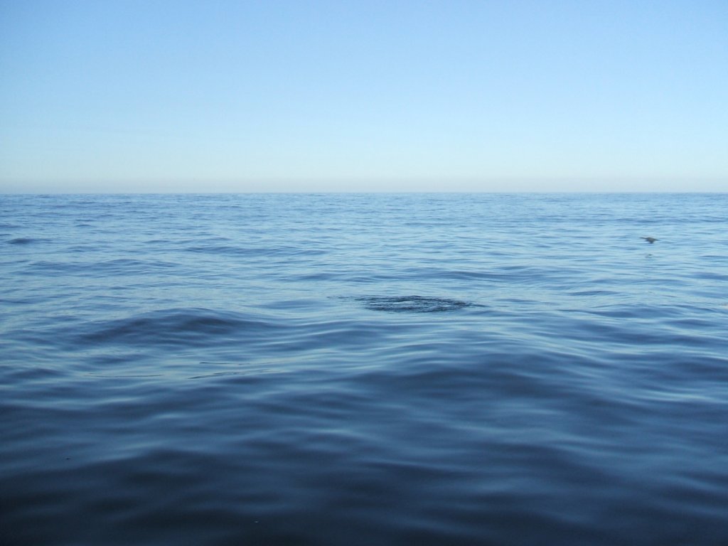 photo11.jpg
