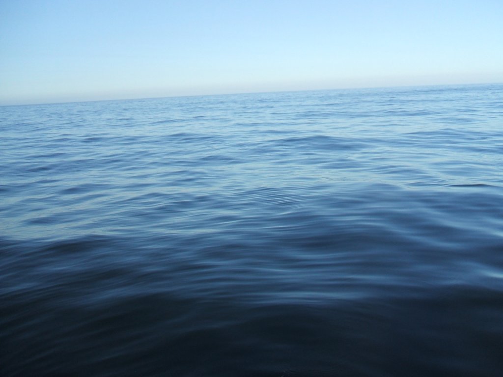 photo14.jpg