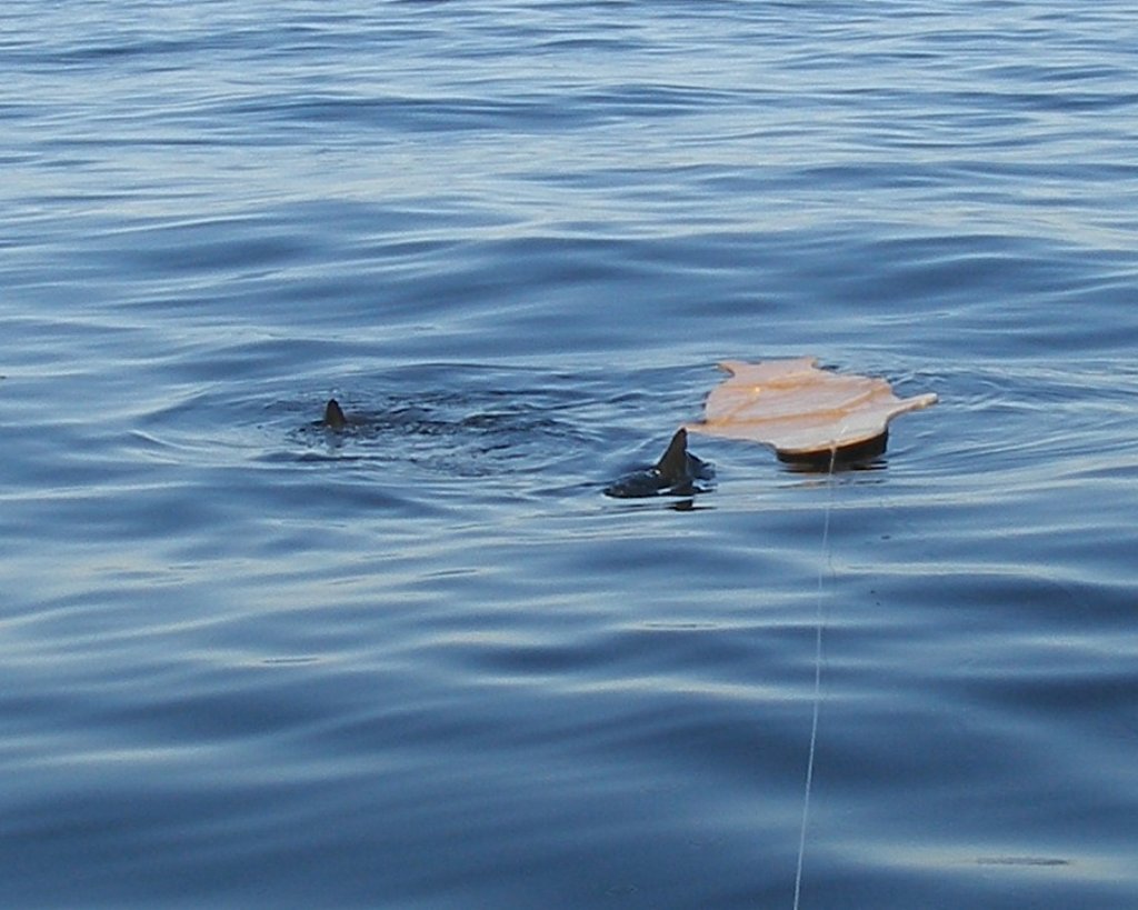 photo10.jpg