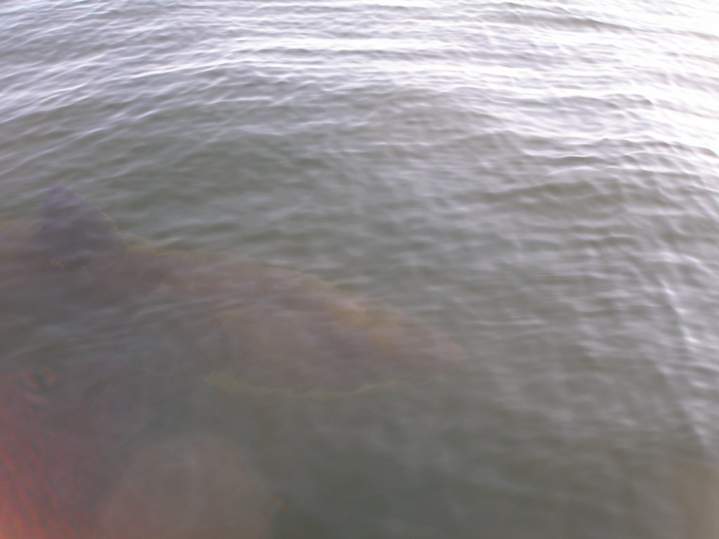 photo12.jpg