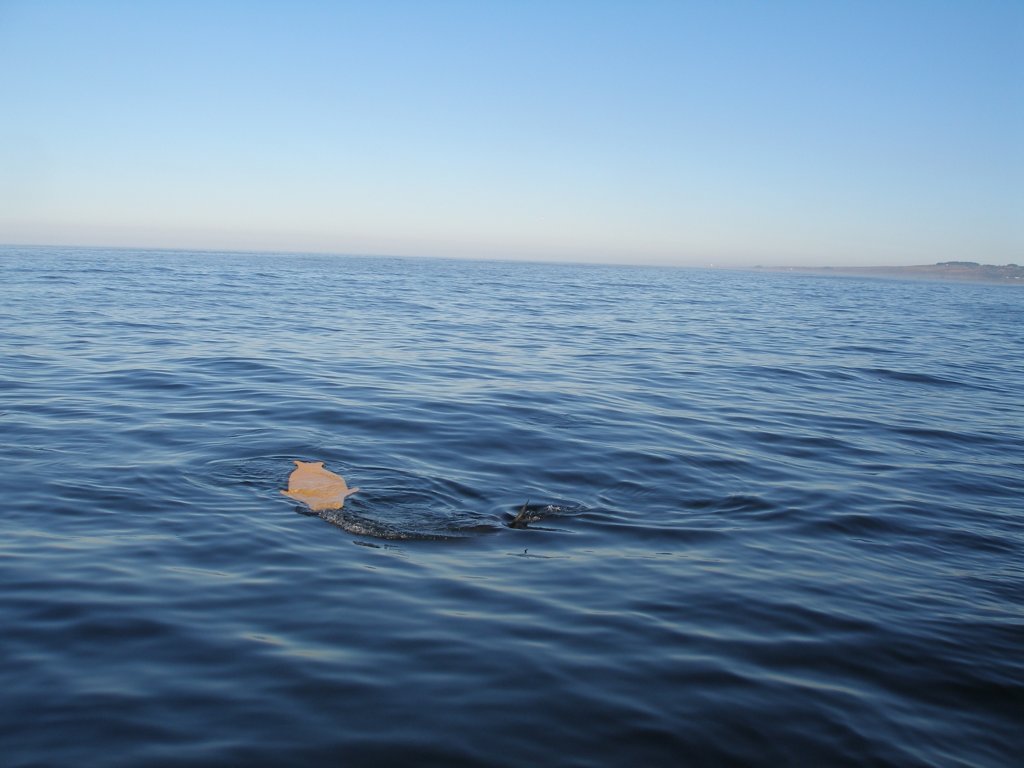 photo7.jpg