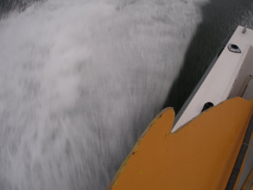 photo10.jpg