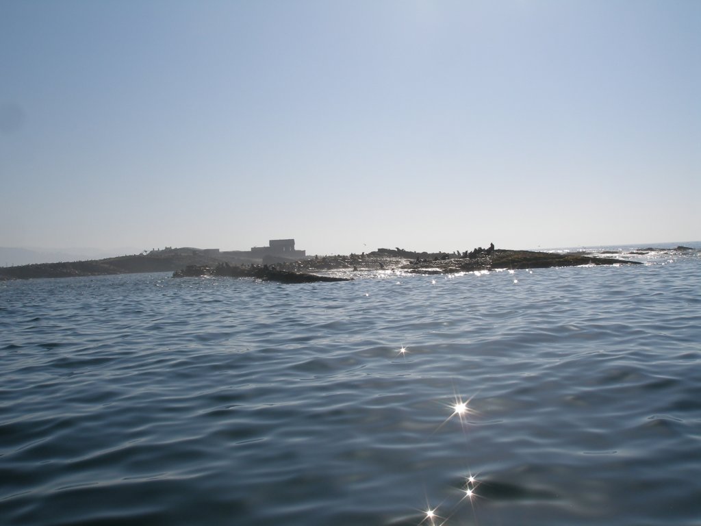 photo16.jpg