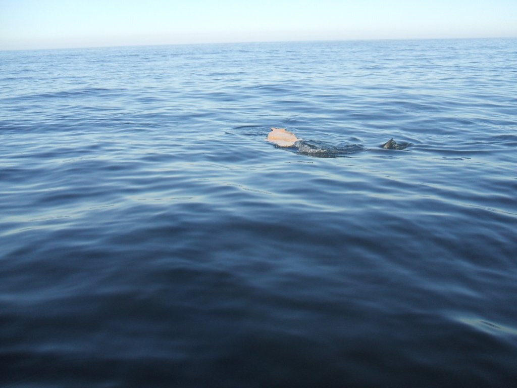 photo24.jpg